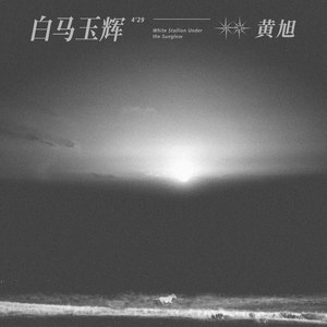 大地资源视频在线观看1
